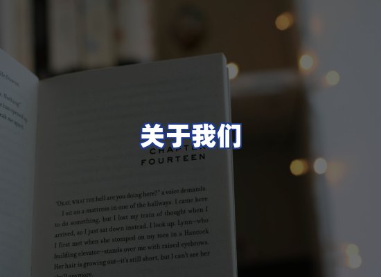 专业团队